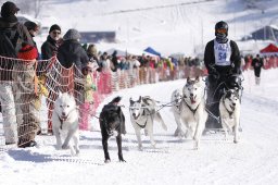 Lenk 2013